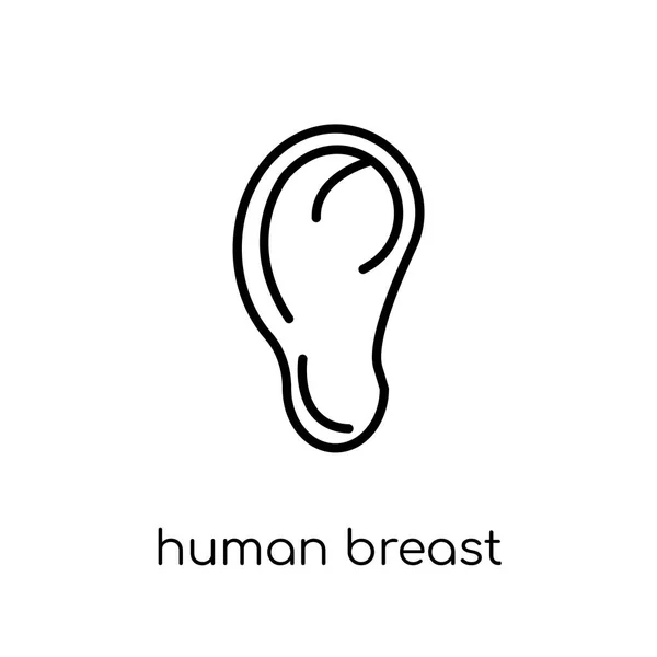 Human Breast Icon Trendy Modern Flat Linear Vector Human Breast — Stock Vector