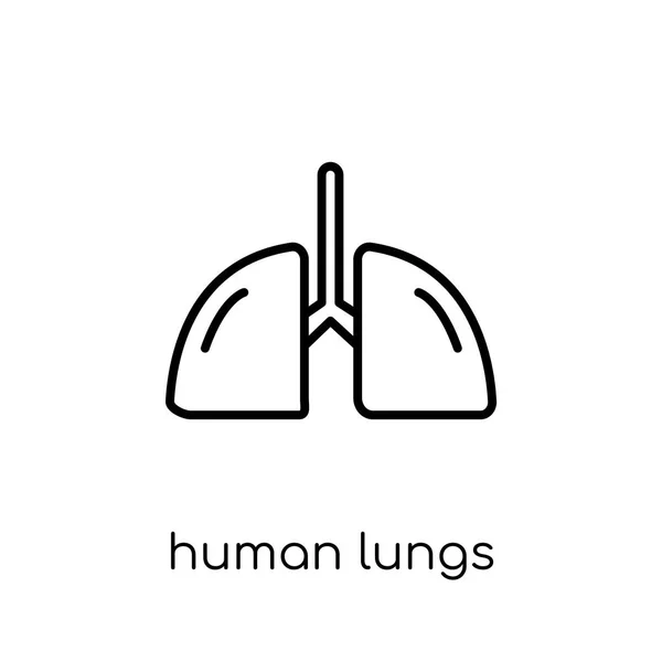人类肺 时尚现代平面线性向量人 Lungs 图标在白色背景从细线人体零件汇集 可编辑的概述冲程向量例证 — 图库矢量图片