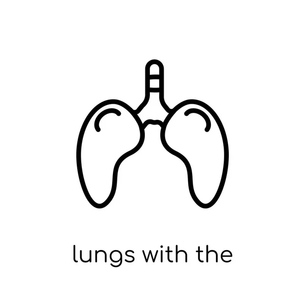 肺は気管のアイコン人間の体の部分のコレクション 編集可能な細い線から白い背景の気管アイコンでトレンディなモダンなフラット線形ベクトル肺ストローク ベクター画像を概要します — ストックベクタ