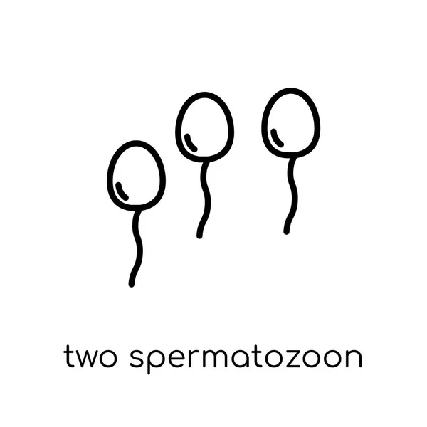 Две Иконки Сперматозона Модный Современный Плоский Линейный Вектор Две Иконки — стоковый вектор