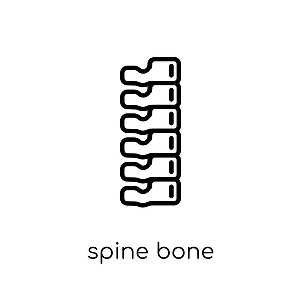 脊椎骨のアイコン 人間の体のパーツ コレクション 編集可能なアウトライン ストローク ベクター画像の細い線から白い背景のトレンディなモダンなフラット線形ベクトル脊椎骨アイコン — ストックベクタ