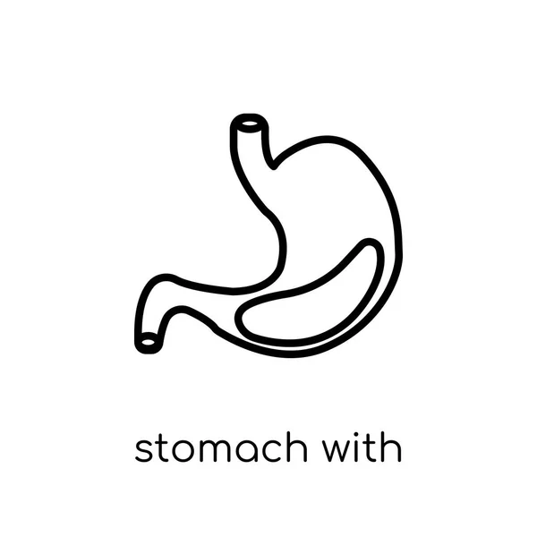液体アイコンを胃 人間の体パーツ コレクション 編集可能なアウトライン ストローク ベクター画像の細い線から白い背景の上の液体のアイコンとトレンディなモダンなフラット線形ベクトル胃 — ストックベクタ