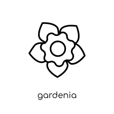 Gardenya simgesi. Modaya uygun modern düz doğrusal vektör Gardenya simgesi ince çizgi doğa Collection, düzenlenebilir anahattı kontur vektör çizim beyaz arka plan üzerinde
