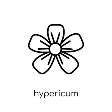 Hypericum simgesi. Modaya uygun modern düz doğrusal vektör Hypericum simgesi ince çizgi doğa Collection, düzenlenebilir anahattı kontur vektör çizim beyaz arka plan üzerinde