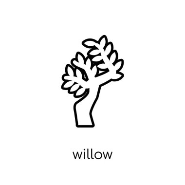 Willow simgesi. Modaya uygun modern düz doğrusal vektör Willow simgesi ince çizgi doğa Collection, düzenlenebilir anahattı kontur vektör çizim beyaz arka plan üzerinde