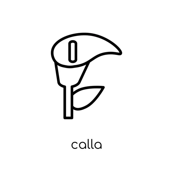 Икона Калла Модный Современный Плоский Линейный Вектор Иконка Калла Белом — стоковый вектор