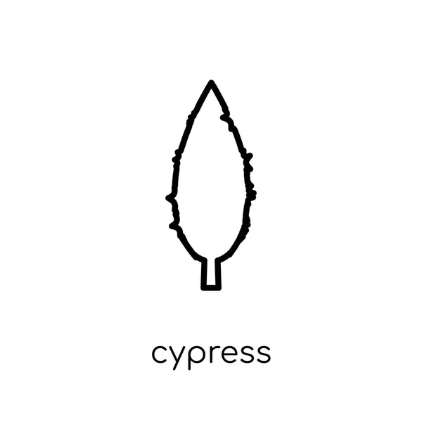 Cypress Ikonen Trendiga Moderna Platt Linjär Vektor Cypress Ikonen Vit — Stock vektor