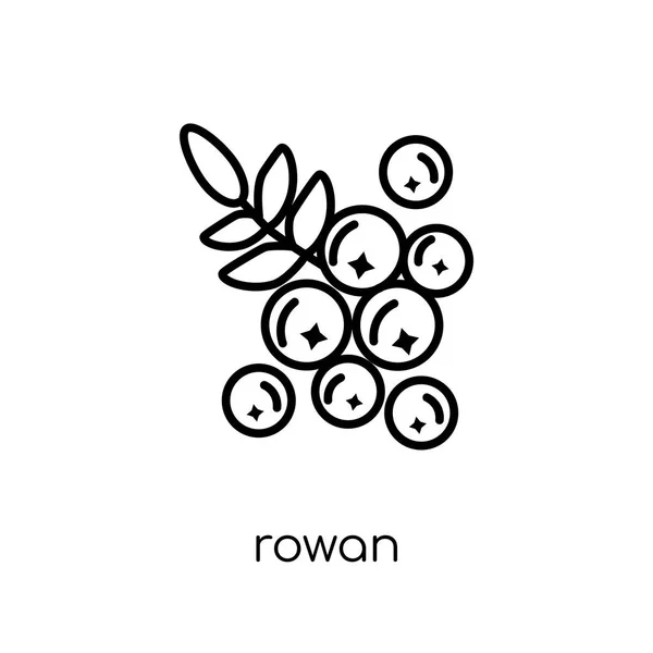 罗文图标 时尚现代平面线性向量 Rowan 图标在白色背景从细线自然汇集 可编辑的概述笔画向量例证 — 图库矢量图片