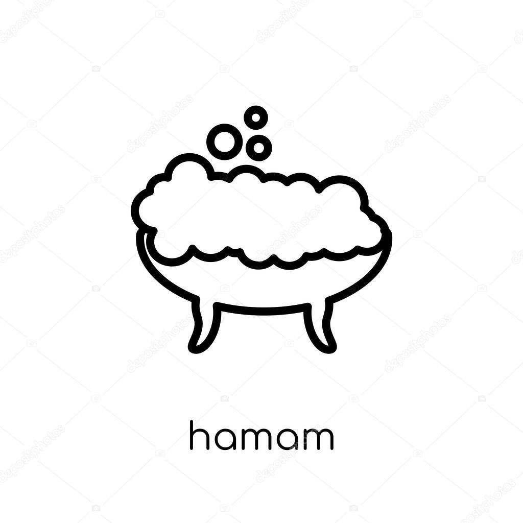 Hamam icon. Trendy modern flat linear vector Hamam icon on white background from thin line sauna collection, editable outline stroke vector illustration