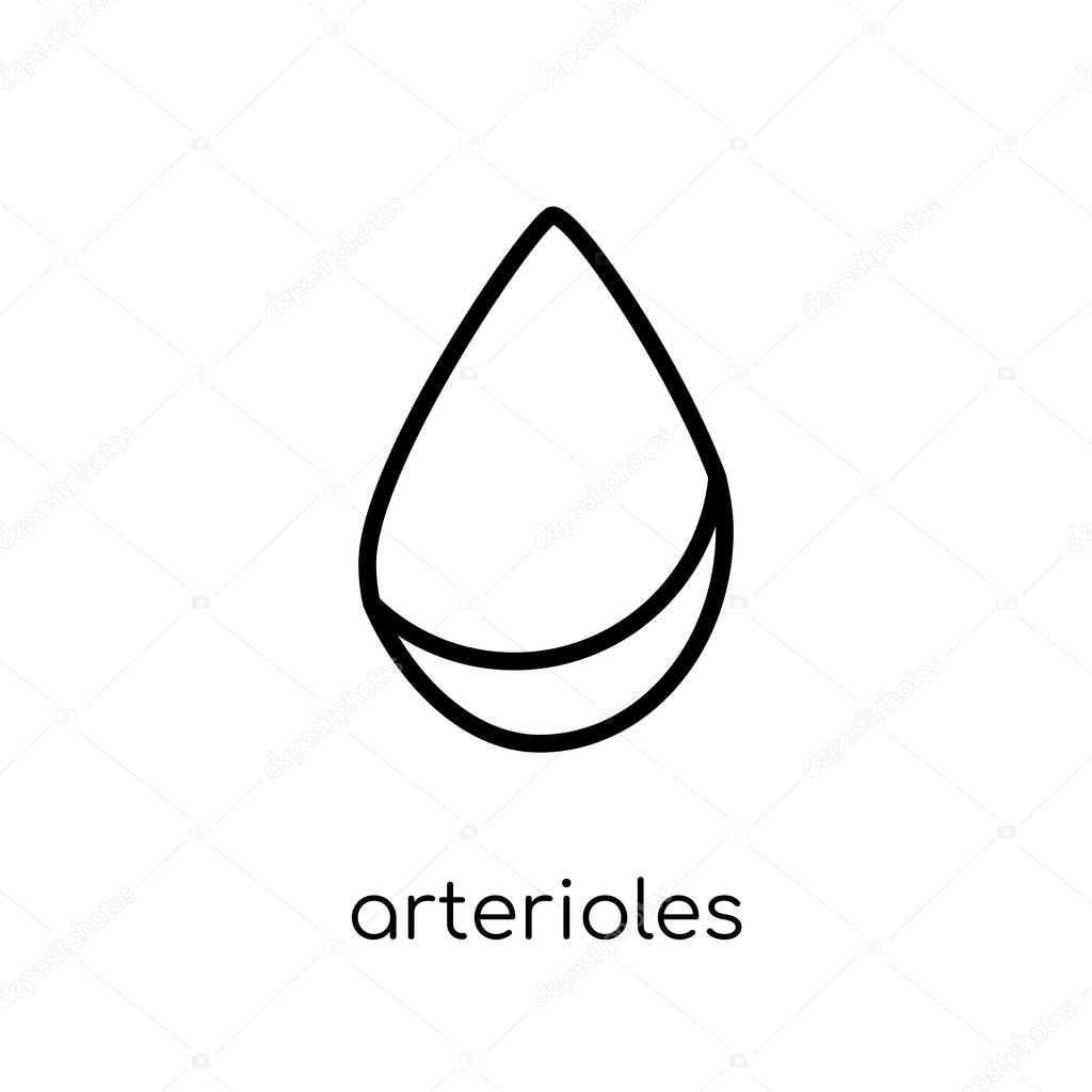 Arterioles icon. Trendy modern flat linear vector Arterioles icon on white background from thin line sauna collection, editable outline stroke vector illustration