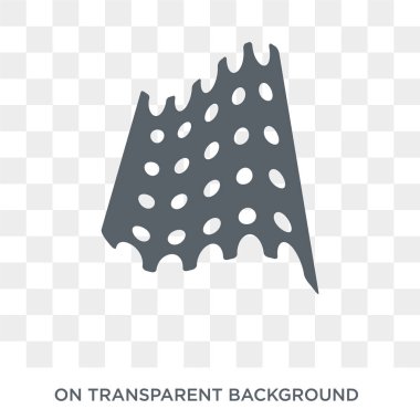 Hamursuz ekmek simgesi. Trendy düz vektör din koleksiyonundan şeffaf arka plan üstünde kutsal kişilerin resmi Matzo. Yüksek kaliteli dolu Matzo simge kullanımı için web ve hareket eden