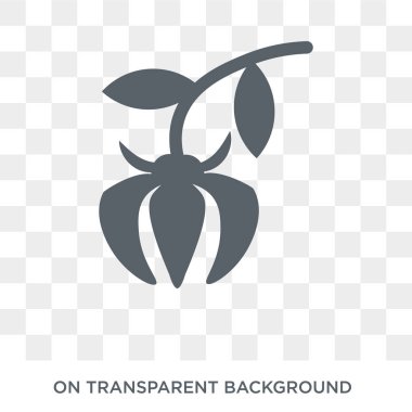 Ylang-ylang icon. Trendy flat vector Ylang-ylang icon on transparent background from nature collection. High quality filled Ylang-ylang symbol use for web and mobile clipart