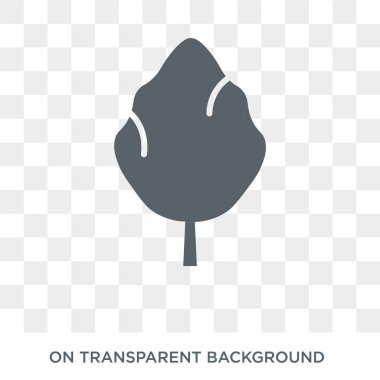 Kavak simgesi. Trendy düz vektör doğa koleksiyonundan şeffaf arka plan üstünde kutsal kişilerin resmi kavak. Kavak simge kullanımı web ve mobil için yüksek kaliteli dolu