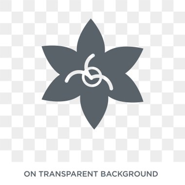 Akasma simgesi. Trendy düz vektör doğa koleksiyonundan şeffaf arka plan üstünde kutsal kişilerin resmi akasma. Akasma simge kullanımı web ve mobil için yüksek kaliteli dolu