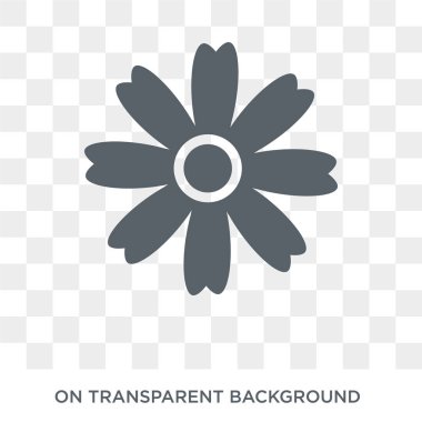 Krizantem simgesi. Trendy düz vektör doğa koleksiyonundan şeffaf arka plan üstünde kutsal kişilerin resmi krizantem. Krizantem simge kullanımı web ve mobil için yüksek kaliteli dolu