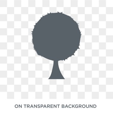 Beech icon. Trendy flat vector Beech icon on transparent background from nature collection. High quality filled Beech symbol use for web and mobile