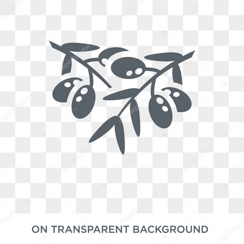 Olive Branch icon. Trendy flat vector Olive Branch icon on transparent background from Religion  collection. High quality filled Olive Branch symbol use for web and mobile