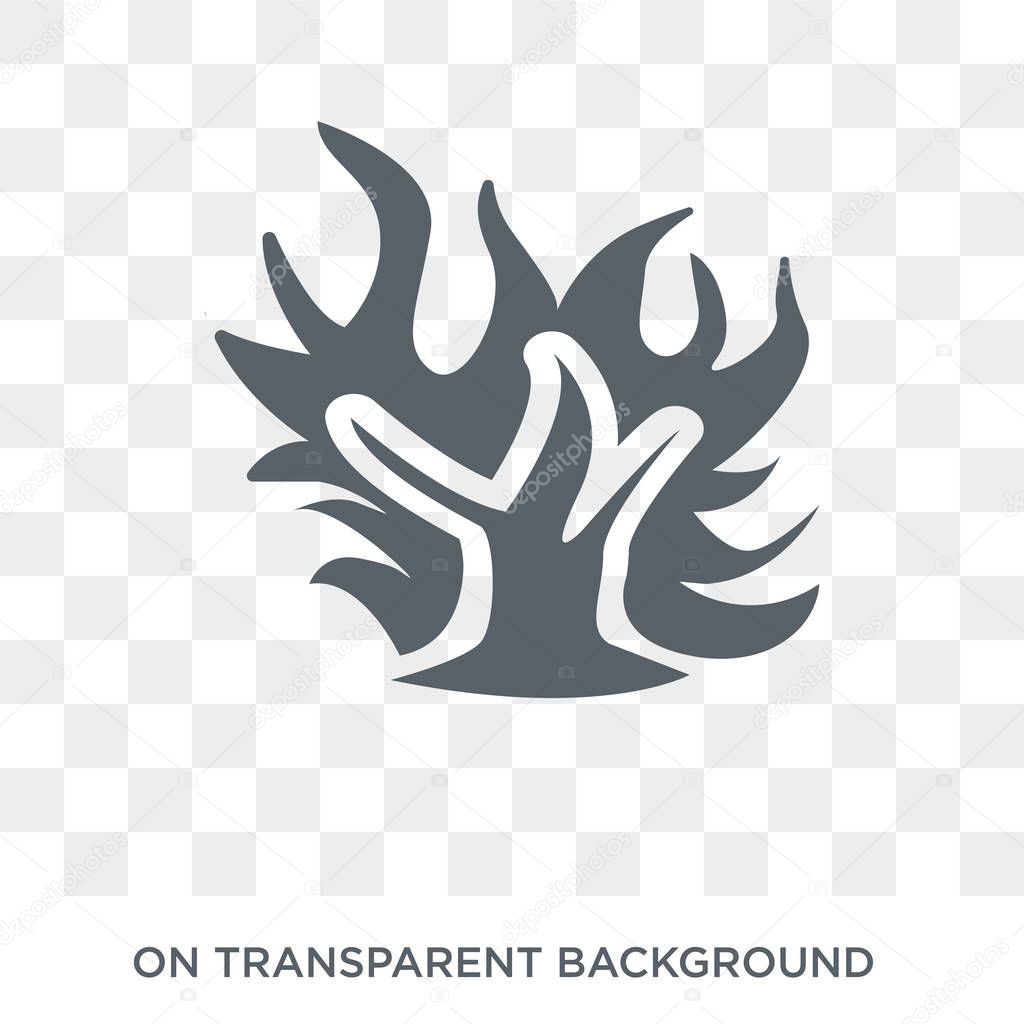 Burning Bush icon. Trendy flat vector Burning Bush icon on transparent background from Religion  collection. High quality filled Burning Bush symbol use for web and mobile