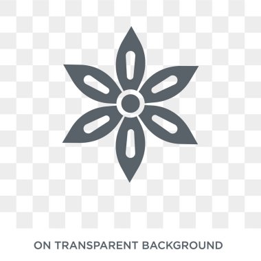 Anason simgesi. Hindistan koleksiyonundan şeffaf arka plan trendy düz vektör anason simgesi. Anason simge kullanımı web ve mobil için yüksek kaliteli dolu