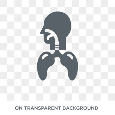 Solunum sistemi simgesi. İnsan vücut parçaları koleksiyonundan şeffaf arka plan trendy düz vektör solunum sistemi simgesi. Solunum sistemi simge kullanımı web ve mobil için yüksek kaliteli dolu