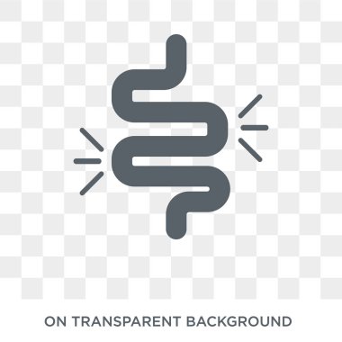 Bağırsak simgesi. Sağlık ve tıp koleksiyonundan şeffaf arka plan trendy düz vektör bağırsak simgesi. Bağırsak simge kullanımı web ve mobil için yüksek kaliteli dolu