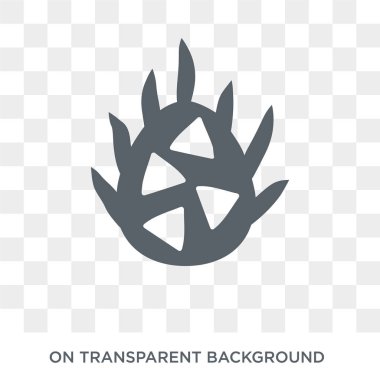 Pitaya icon. Pitaya design concept from Fruit and vegetables collection. Simple element vector illustration on transparent background.