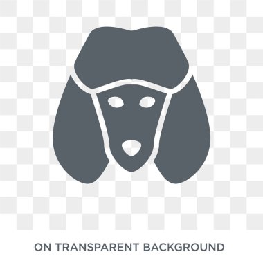 Kaniş köpek simgesi. Trendy düz vektör kaniş köpek köpekler koleksiyonundan şeffaf arka plan simgesi. Kaniş köpek simge kullanımı web ve mobil için yüksek kaliteli dolu