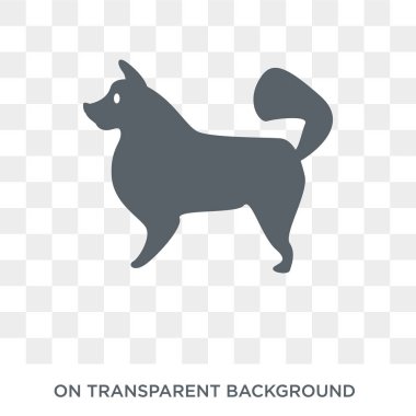 Amerikan Eskimo köpek köpek simgesi. Trendy düz vektör Amerikan Eskimo köpek köpek köpekler koleksiyonundan şeffaf arka plan simgesi. Amerikan Eskimo köpek köpek simge kullanımı web ve mobil için yüksek kaliteli dolu