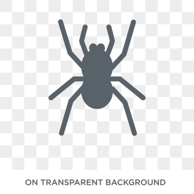 Örümcek simgesi. Trendy düz vektör hayvanlar koleksiyonundan şeffaf arka plan üstünde kutsal kişilerin resmi örümcek. Örümcek simge kullanımı web ve mobil için yüksek kaliteli dolu