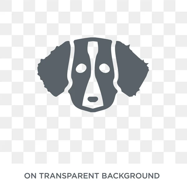 Bretagne Hond Pictogram Trendy Platte Vector Bretagne Hond Pictogram Transparante — Stockvector