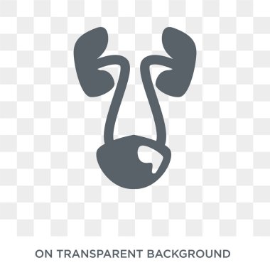 Sigara Gonokokal urethritis simgesi. Hastalıklar koleksiyonundan şeffaf arka plan düz vektör sigara Gonokokal trendy urethritis simgesi. Yüksek kaliteli sigara Gonokokal urethritis simge kullanımı web ve mobil için dolu