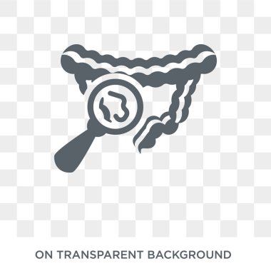 Gastroenterit simgesi. Trendy düz vektör gastroenterit hastalıklar koleksiyonundan şeffaf arka plan simgesi. Yüksek kaliteli gastroenterit simge kullanımı web ve mobil için dolu