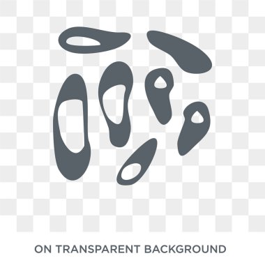 Ques fever icon. Trendy flat vector Ques fever icon on transparent background from Diseases collection. High quality filled Ques fever symbol use for web and mobile
