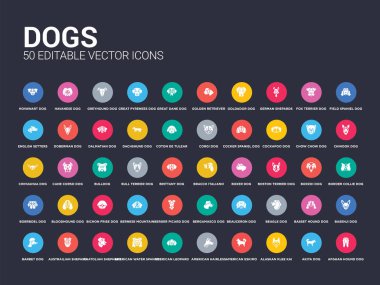 50 köpek Afgan Tazısı köpek, akita köpek, Alaska gibi icons set klee kai köpek, Amerikalı eskimo Amerikan tüysüz korkunç Amerikalı leopar tazı su İspanyol Anadolu Çoban austrailian shepard
