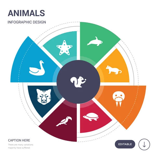 Conjunto de 9 animales simples iconos vectoriales. contiene como ardilla, estrella de mar, cisne, tigre, tucán, tortuga, morsa iconos y otros. diseño de infografías editable — Archivo Imágenes Vectoriales