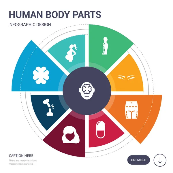 Conjunto de 9 simples partes del cuerpo humano iconos vectoriales. contiene como cerebro dentro de la cabeza humana, mujer embarazada, vista superior del cerebro, hueso roto, cabello largo mujer morena, cápsula en blanco y negro — Vector de stock