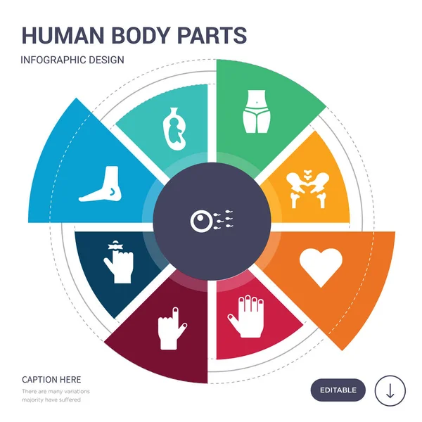 Set van 9 eenvoudige menselijk lichaam delen vector iconen. bevat zoals bevruchting, foetus in een baarmoeder, zijaanzicht van de voet, hand vinger met een lint, handgebaar verhogen de wijsvinger, hand tonen — Stockvector