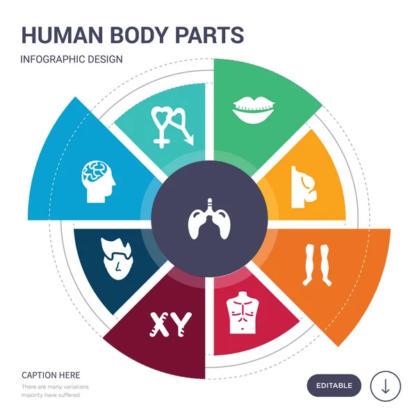 Conjunto de 9 simples partes del cuerpo humano iconos vectoriales. contiene como pulmones con la tráquea, sexo masculino y femenino, vista lateral de la cabeza masculina con cerebros, nariz masculina de una línea, cromosomas masculinos, hombres — Vector de stock