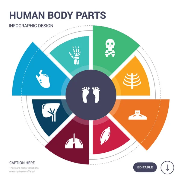 Set van 9 eenvoudige menselijk lichaam delen vector iconen. bevat zoals menselijke voetafdrukken, menselijke hand botten, hart, lever, longen, spieren, nek pictogrammen en anderen. bewerkbare infographics ontwerp — Stockvector