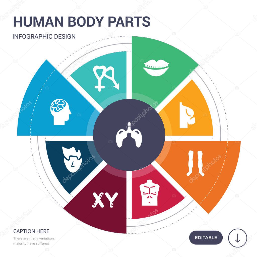 set of 9 simple human body parts vector icons. contains such as lungs with the trachea, male and female gender, male head side view with brains, male nose of a line, masculine chromosomes, men