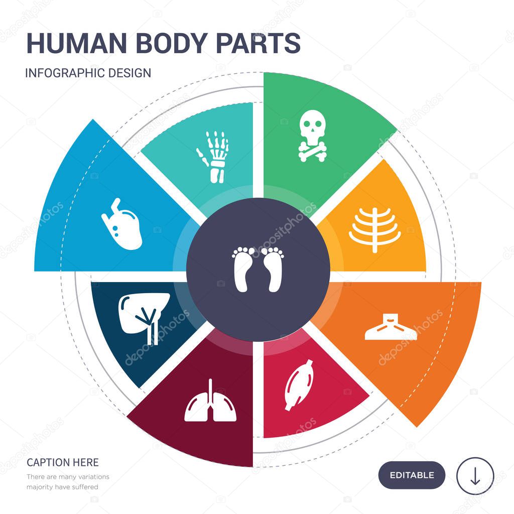 set of 9 simple human body parts vector icons. contains such as human footprints, human hand bones, heart, liver, lungs, muscle, neck icons and others. editable infographics design
