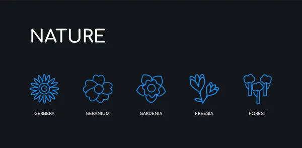 5 obrysy tah modrý Les, freesie, Gardenia, Geranium, ikony Gerbera z přírodních kolekcí na černém pozadí. Spojnicový upravitelný lineární tenký panel. — Stockový vektor