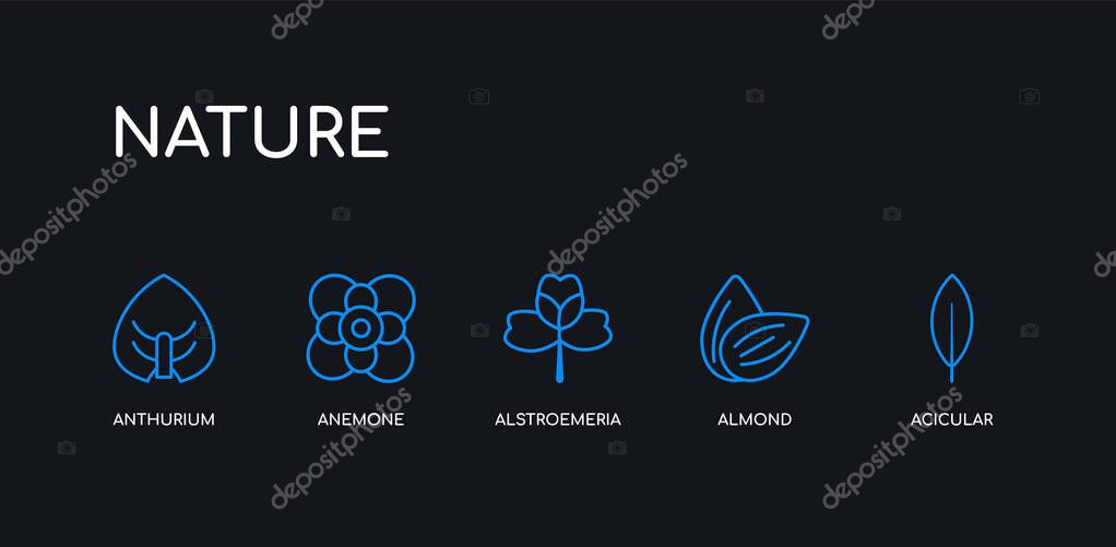 5 outline stroke blue acicular, almond, alstroemeria, anemone, anthurium icons from nature collection on black background. line editable linear thin icons.
