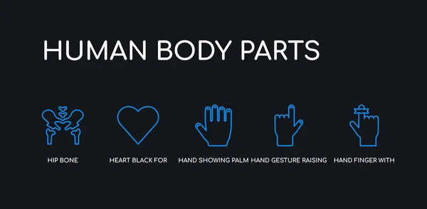 5 trazo del contorno dedo azul de la mano con una cinta, gesto de la mano levantando el dedo índice, la mano que muestra la palma, corazón negro para San Valentín, iconos de hueso de la cadera de la colección de partes del cuerpo humano en negro — Vector de stock