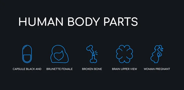 5 contorno accidente cerebrovascular mujer azul embarazada, vista superior del cerebro, hueso roto, cabello largo mujer morena, cápsula iconos variante en blanco y negro de la colección de partes del cuerpo humano sobre fondo negro. línea — Vector de stock
