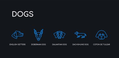 5 anahat inme mavi coton de tulear köpek, dachshund köpek, dalmaçyalı köpek, doberman İngilizce setters siyah arka plan üzerinde köpek koleksiyonundan simgeleri. çizgi düzenlenebilir doğrusal ince simgeler.