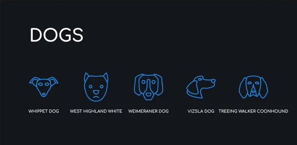 5 बाह्यरेखा स्ट्रोक निळा वृक्षारोपण वॉकर कूनहुंड कुत्रा, व्हिस्ला कुत्रा, वेइमरेनर कुत्रा, पश्चिम हाइलॅंड पांढरा टेरियर कुत्र्यांच्या संग्रहातून काळ्या पार्श्वभूमीवर चिन्ह संकलित करतात. ओळ संपादित रेषेचा पातळ चिन्ह . — स्टॉक व्हेक्टर