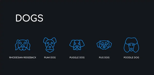 5 contorno trazo perro caniche azul, perro pug, perro puggle, pumi rhodesian ridgeback iconos de la colección de perros sobre fondo negro. línea editable lineal delgada iconos . — Vector de stock