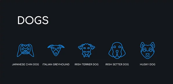 5 contorno del trazo perro husky azul, perro setter irlandés, perro terrier irlandés, íconos de barbilla japonesa galgo italiano de la colección de perros sobre fondo negro. línea editable lineal delgada iconos . — Vector de stock