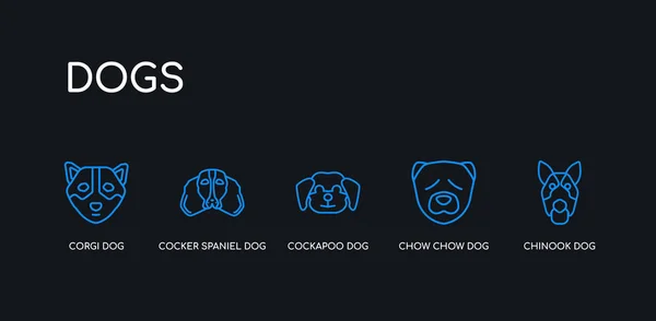 5 contorno del trazo perro chinook azul, perro chow chow, perro cockapoo, cocker spaniel corgi iconos de la colección de perros sobre fondo negro. línea editable lineal delgada iconos . — Archivo Imágenes Vectoriales